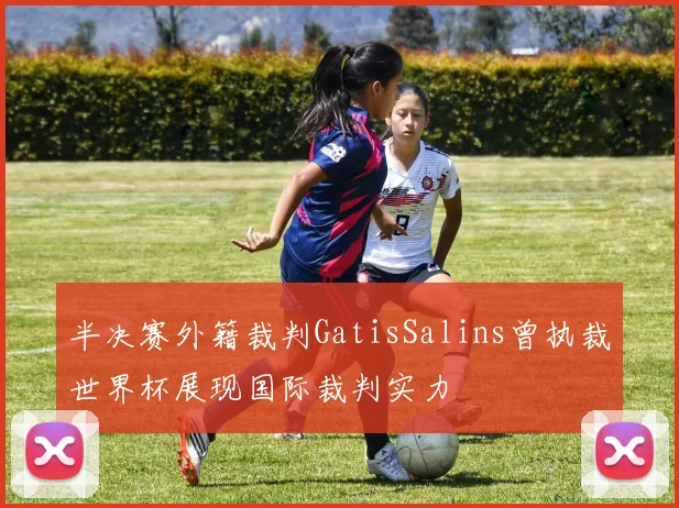 半决赛外籍裁判GatisSalins曾执裁世界杯展现国际裁判实力