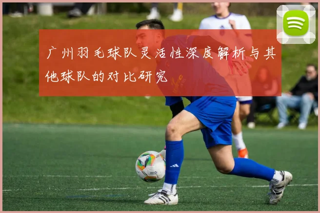 广州羽毛球队灵活性深度解析与其他球队的对比研究